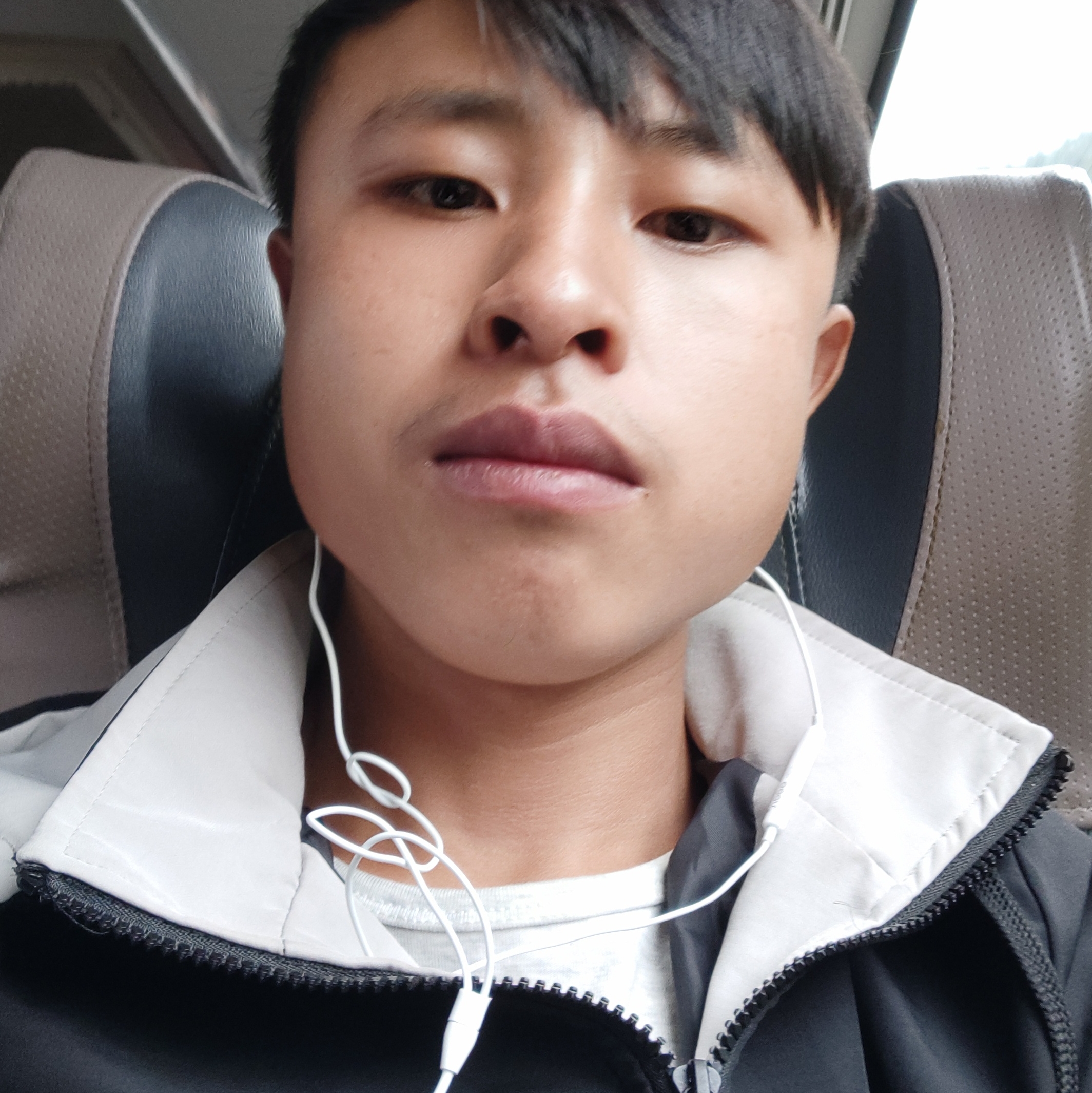 能干方大树的照片