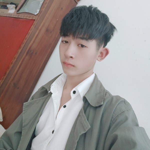 斯文那斑马的照片