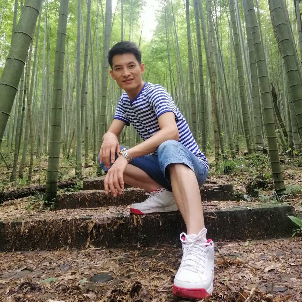 斯文漫步绿草的照片