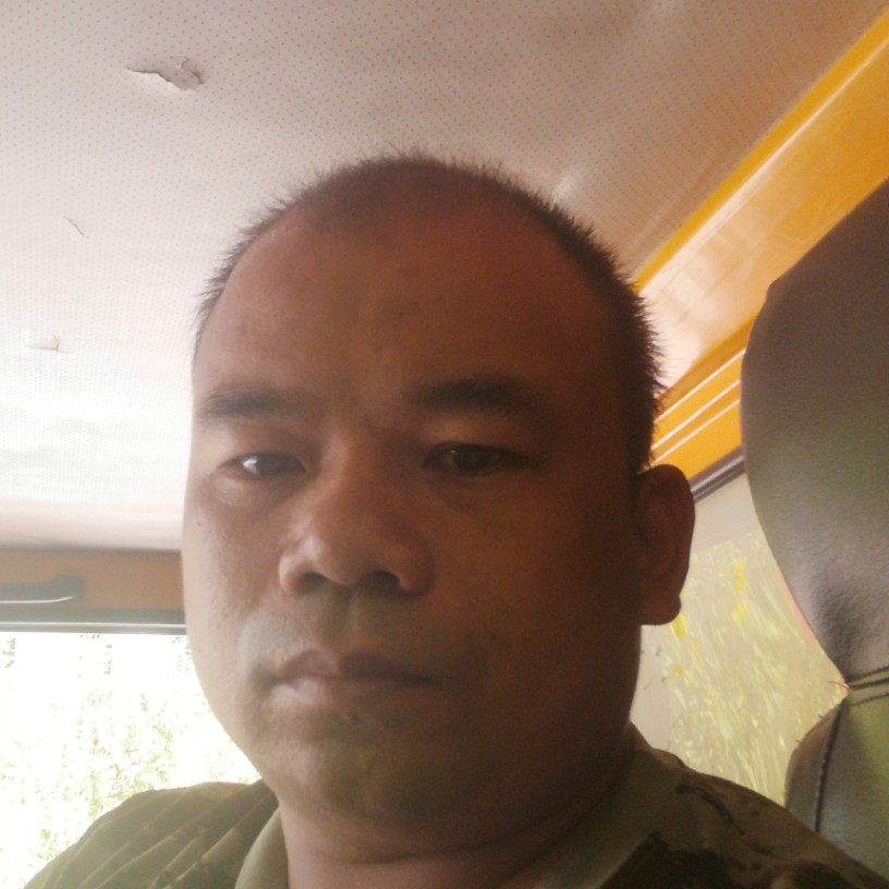 热狗踏实的照片