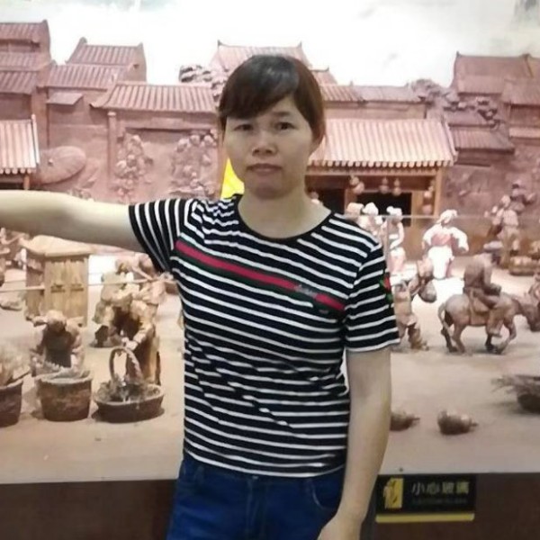 红玫瑰糟糕的照片