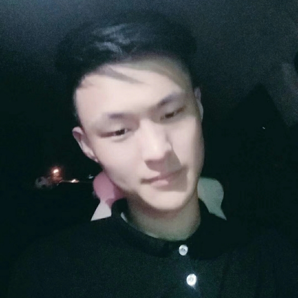 大树漫步缓慢的照片