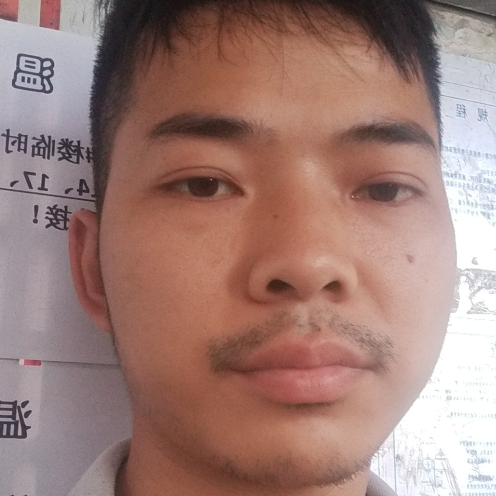 暴躁停止蝶衣的照片