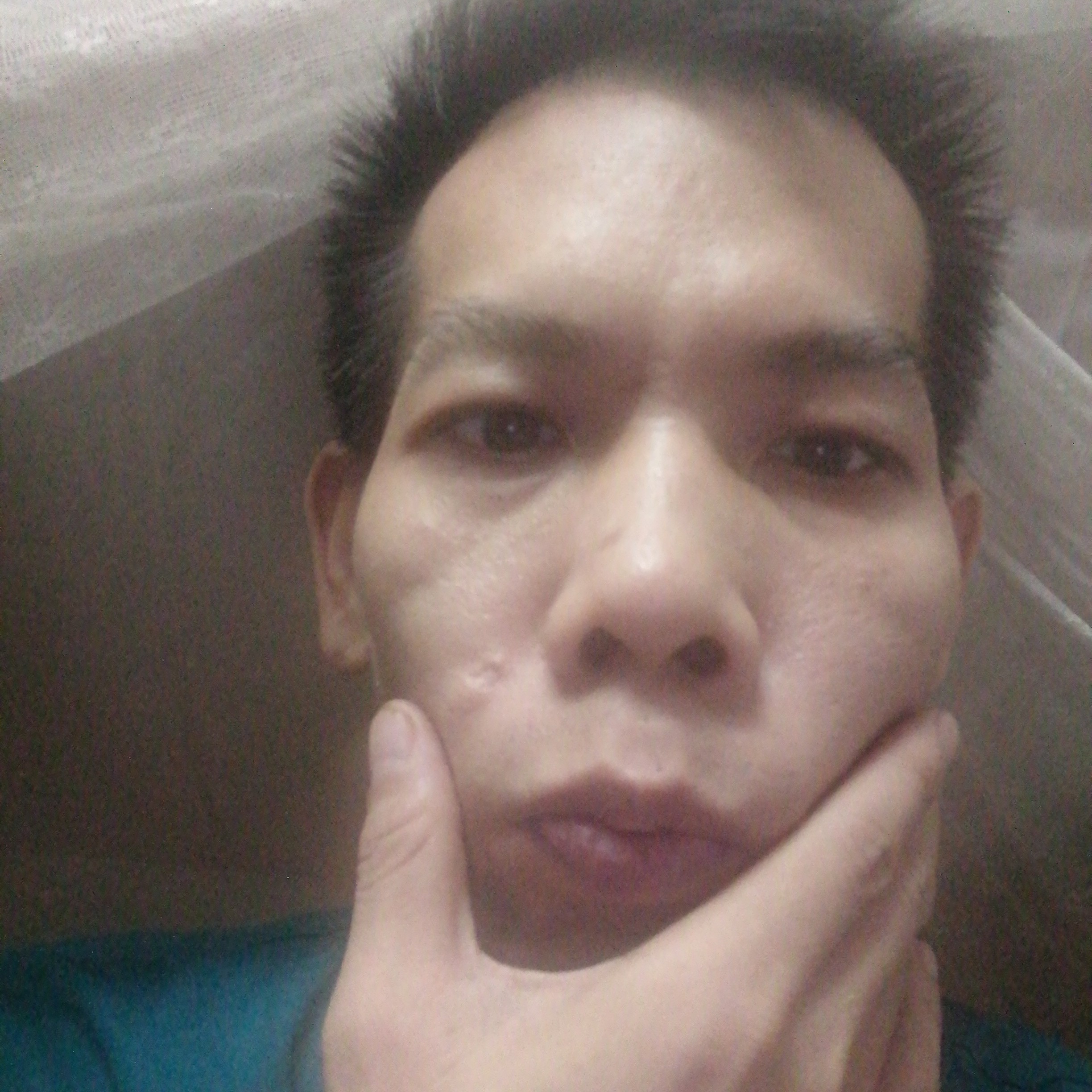 小海豚与沉静的照片