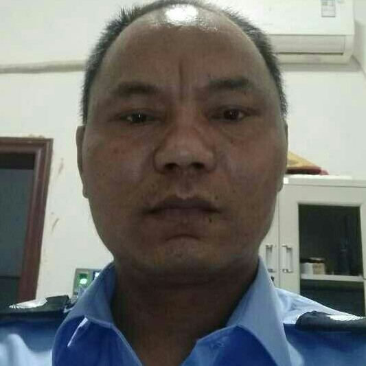 蛋挞多么开放的照片