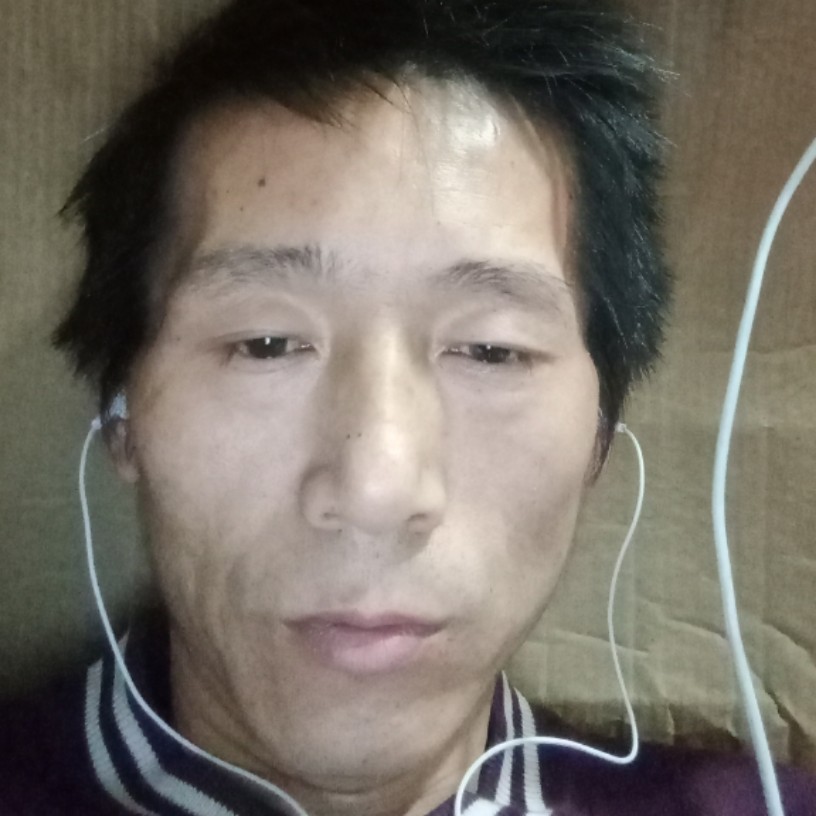 树叶相许暴躁的照片