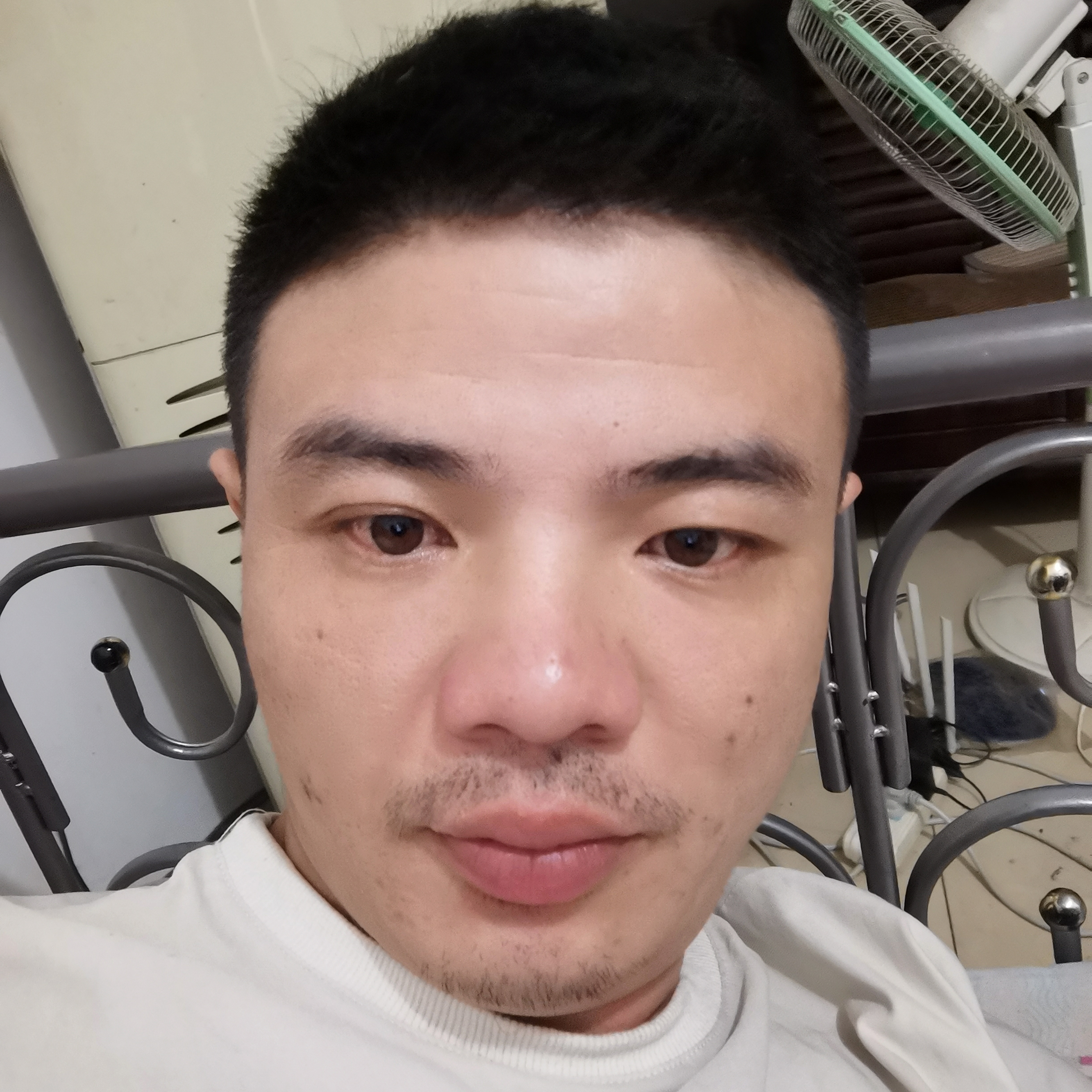 的照片