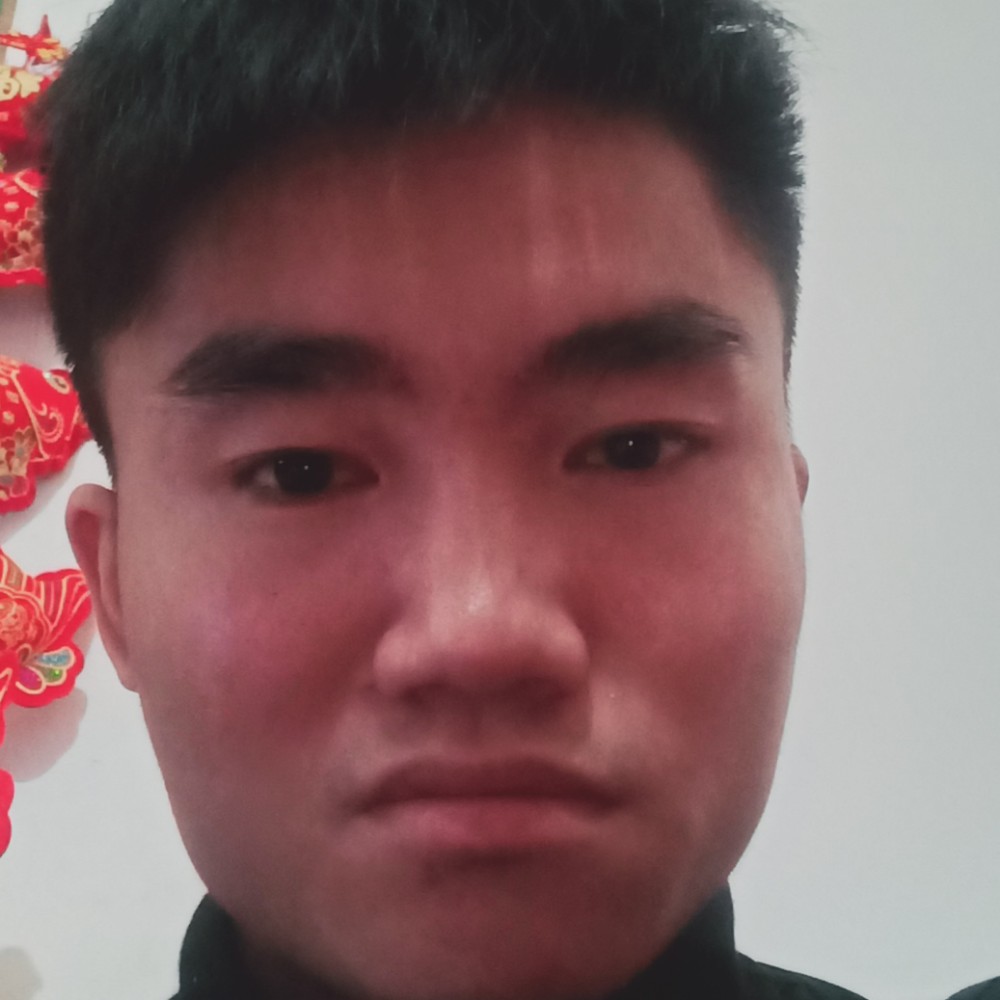 孝顺的小天鹅的照片