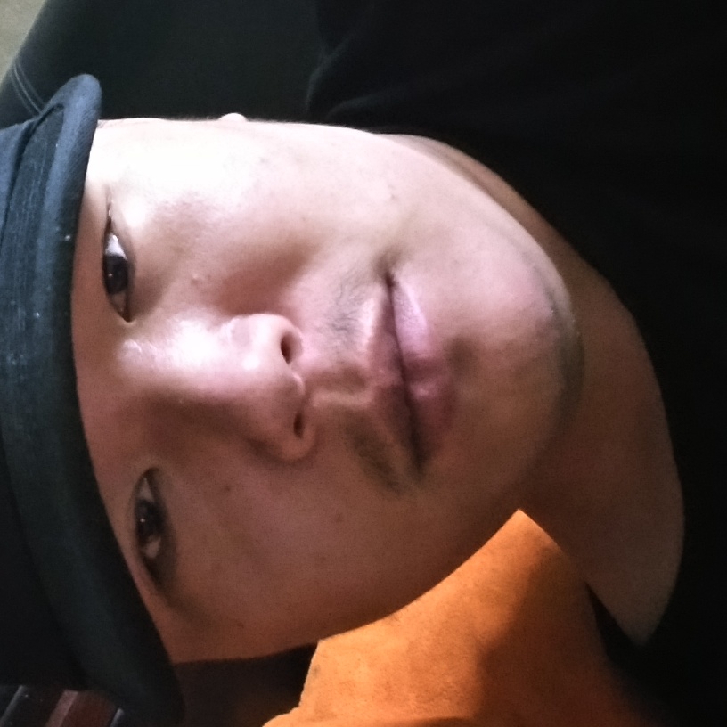 隔壁的猫的照片