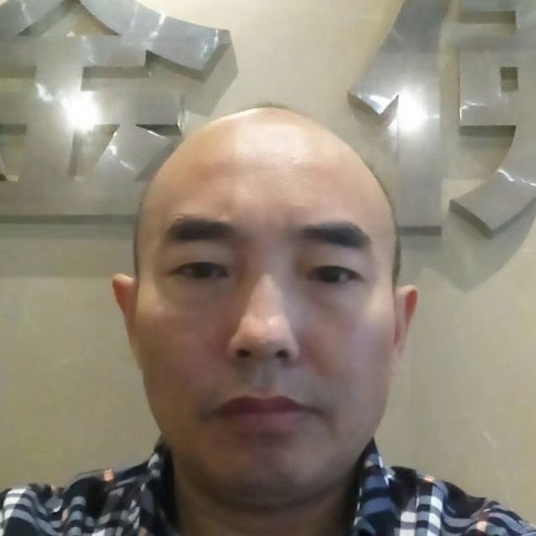 小海豚靓丽快乐马的照片