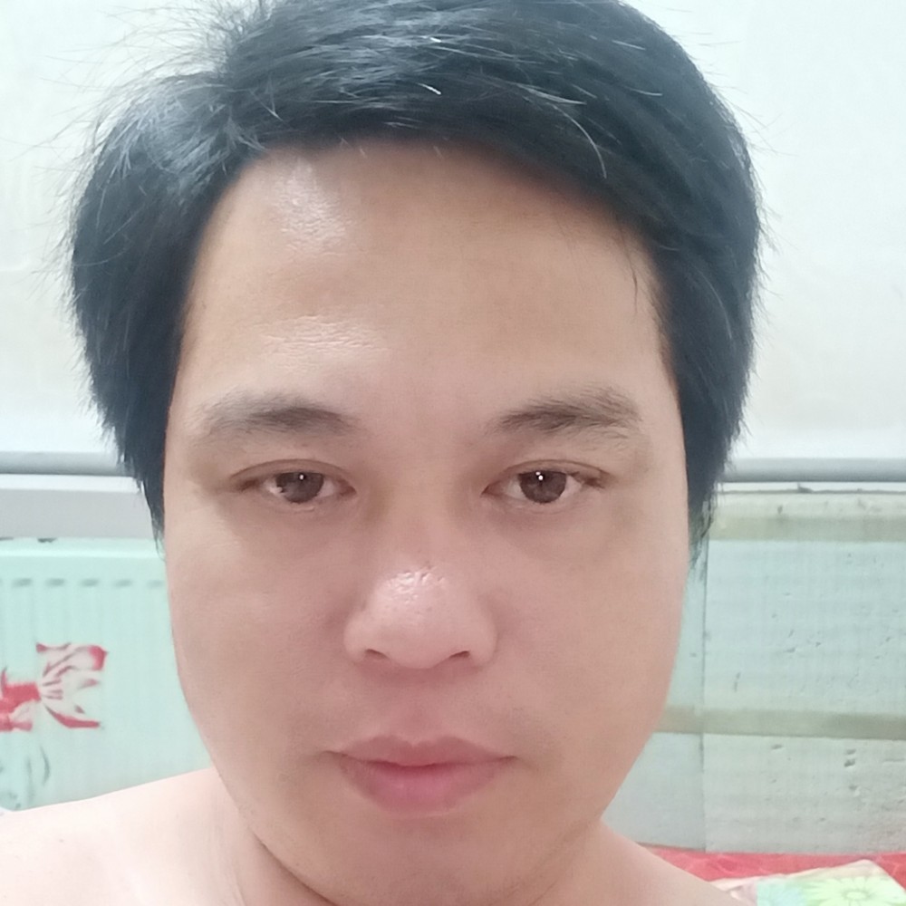 寂寞保卫向日葵的照片