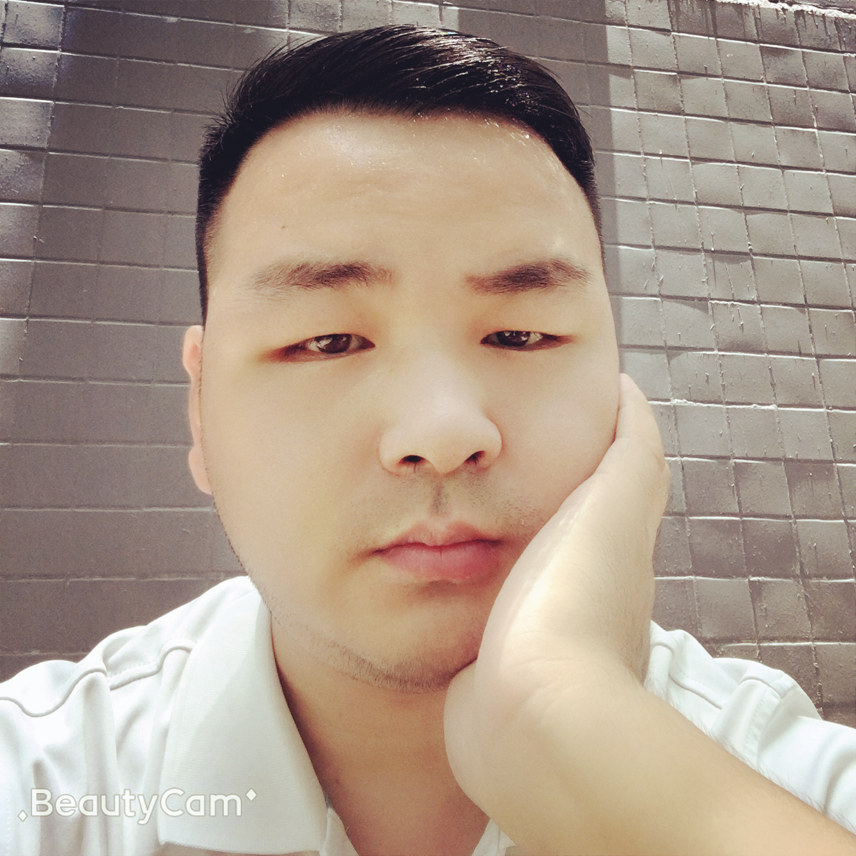 洛尘泪了明亮的照片