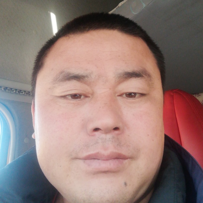羊爱无语的照片