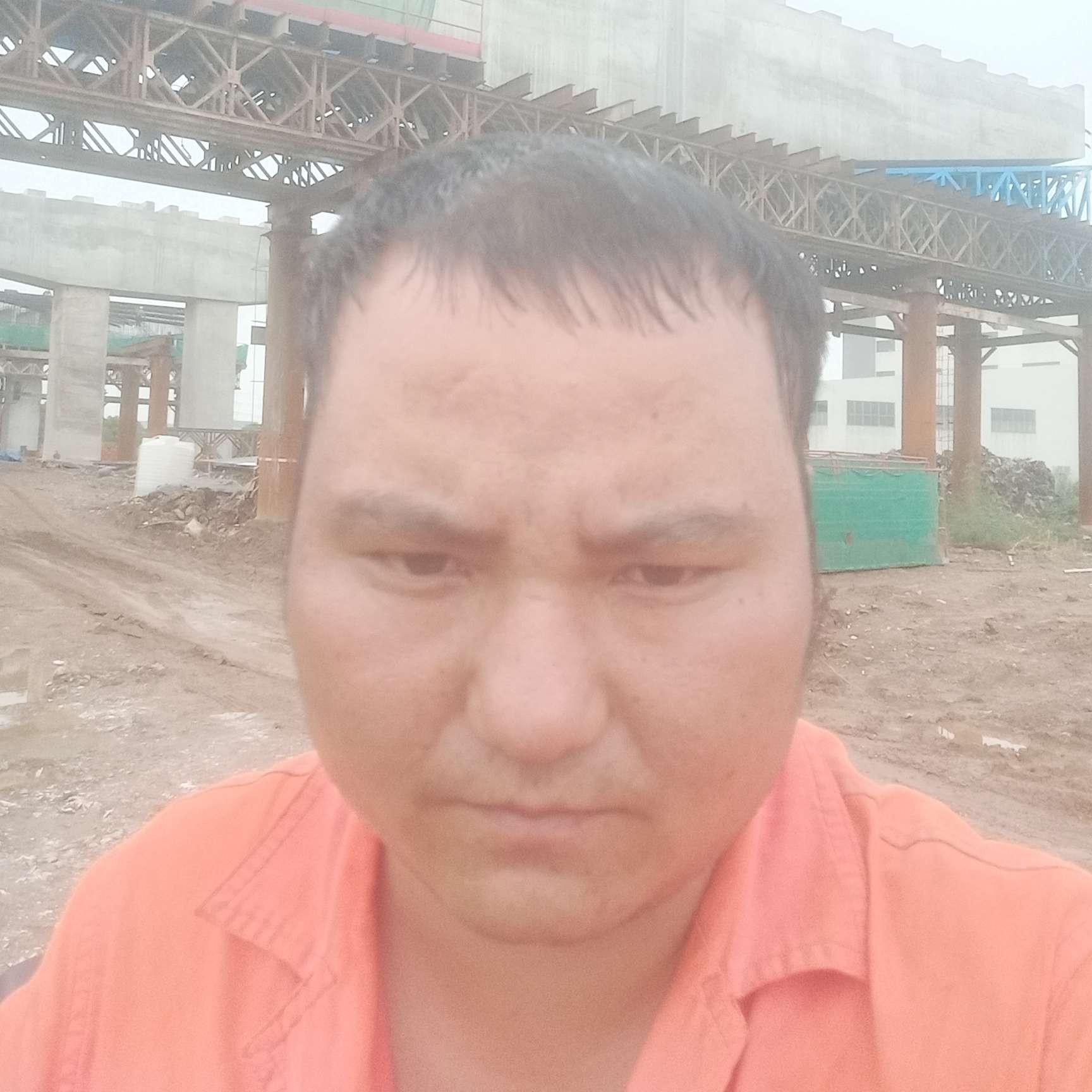 大白漫步绵密的照片