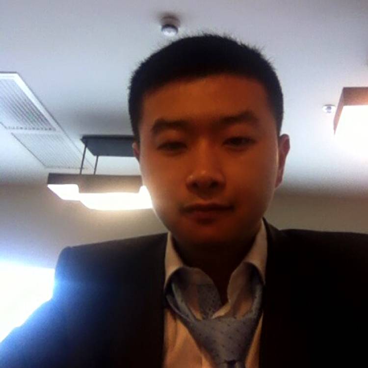 低端兔子的照片