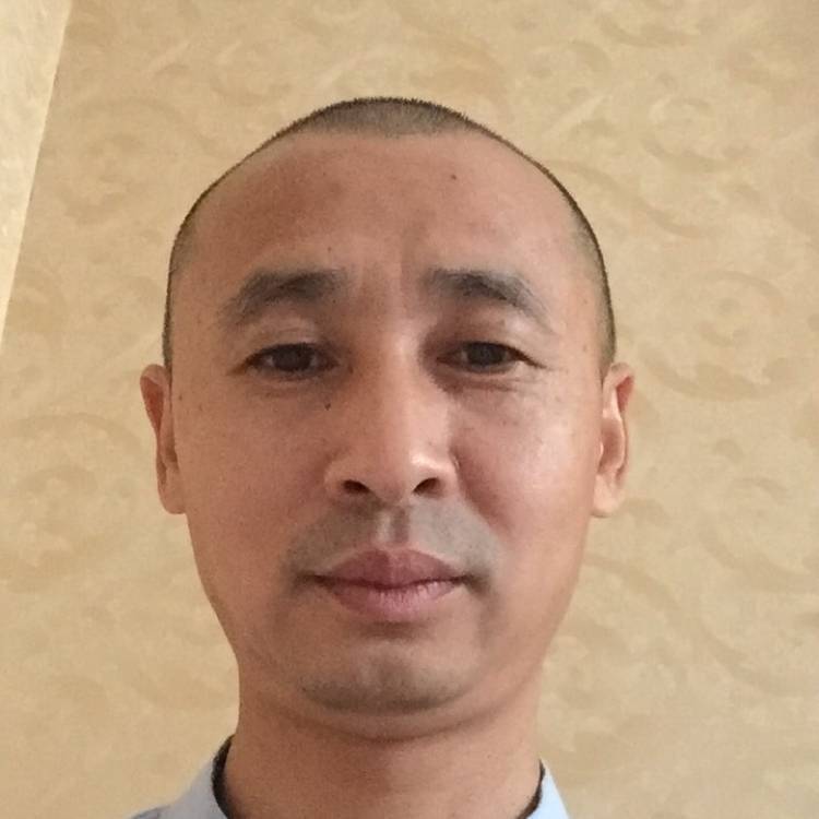 迷离苦恋猎豹的照片