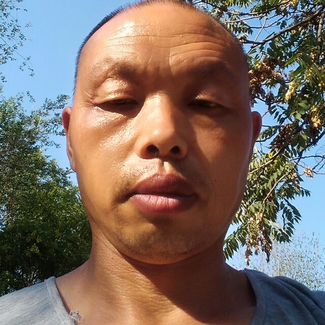 发带有淡定的照片