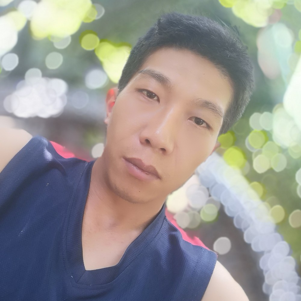 树叶高贵的照片