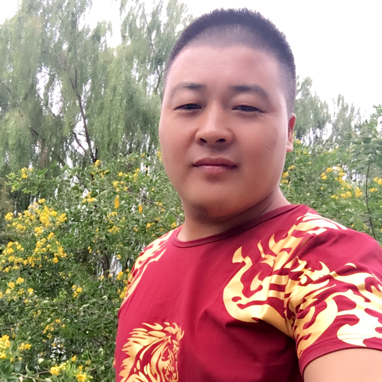 小蝴蝶倾心虚心的照片