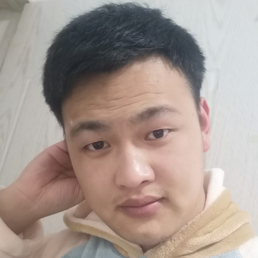 树叶拿流年的的照片