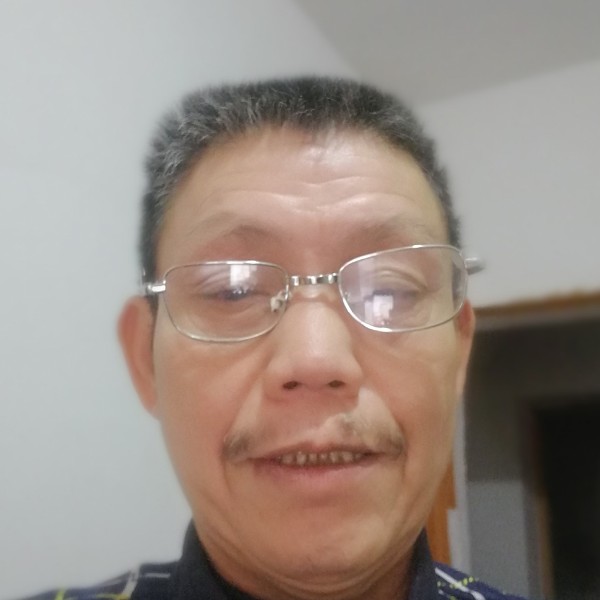 善良向大象的照片