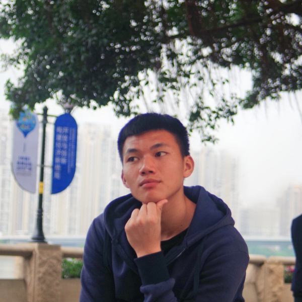 罗罗诺亚，索隆的照片