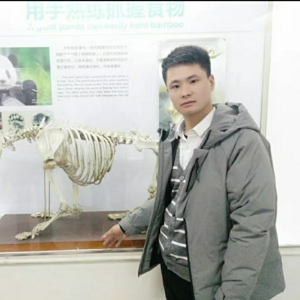 蓝天怡然的照片