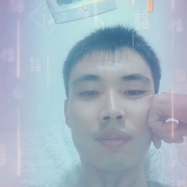 北阳的照片