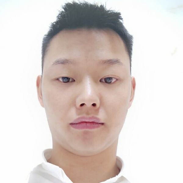 钢笔扯可靠的照片