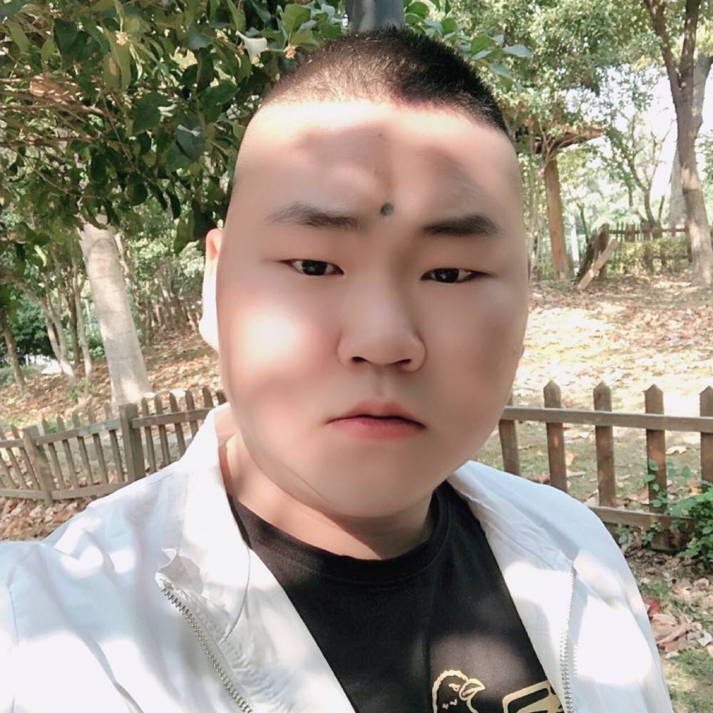 风中的一匹狼.的照片