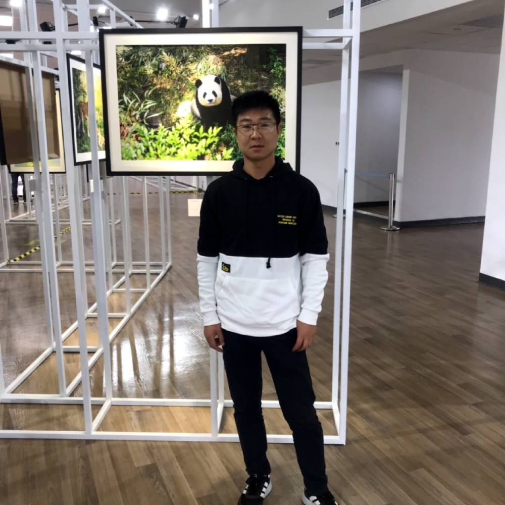 哭泣等于龙猫的照片