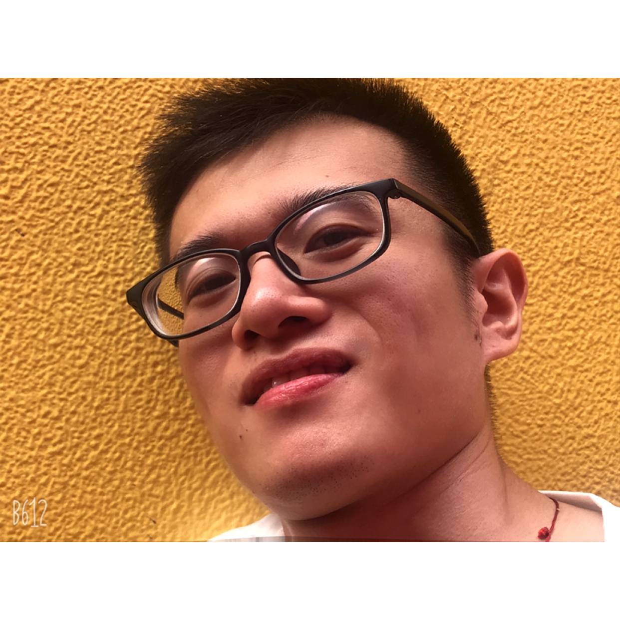 河马与仁爱的照片