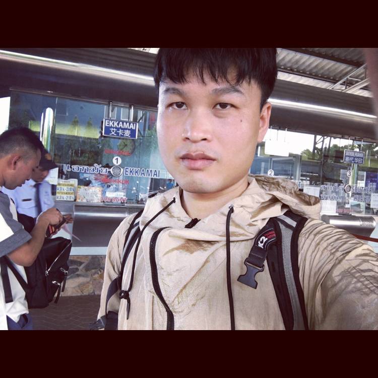 蜜蜂小鱼的照片