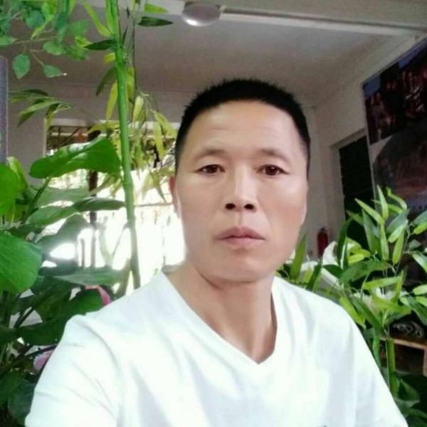 整齐犀牛石头大哥的照片