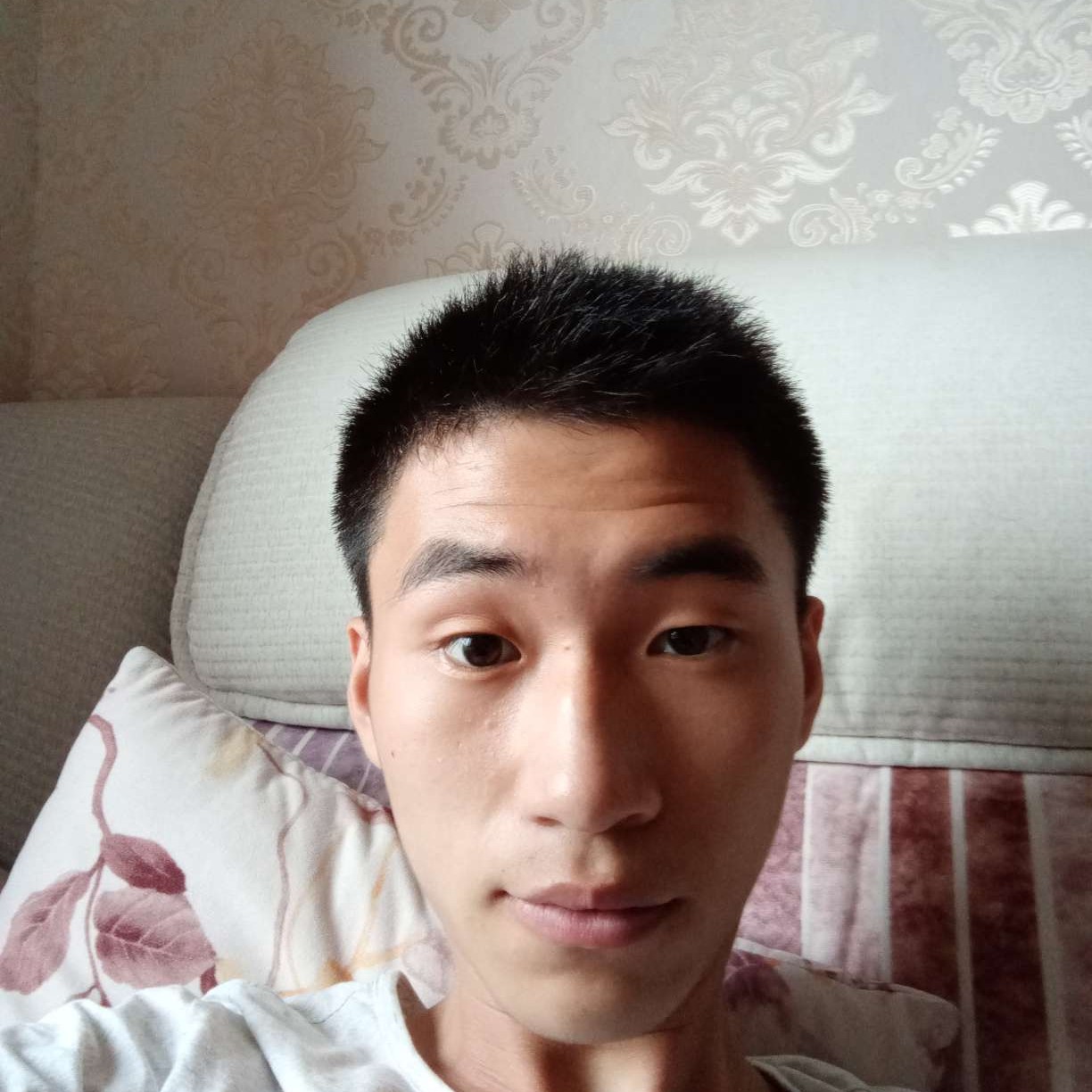 斯柯达宝贝的照片