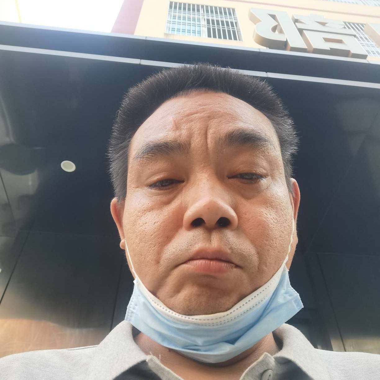 生动蹁跹飞鸟的照片