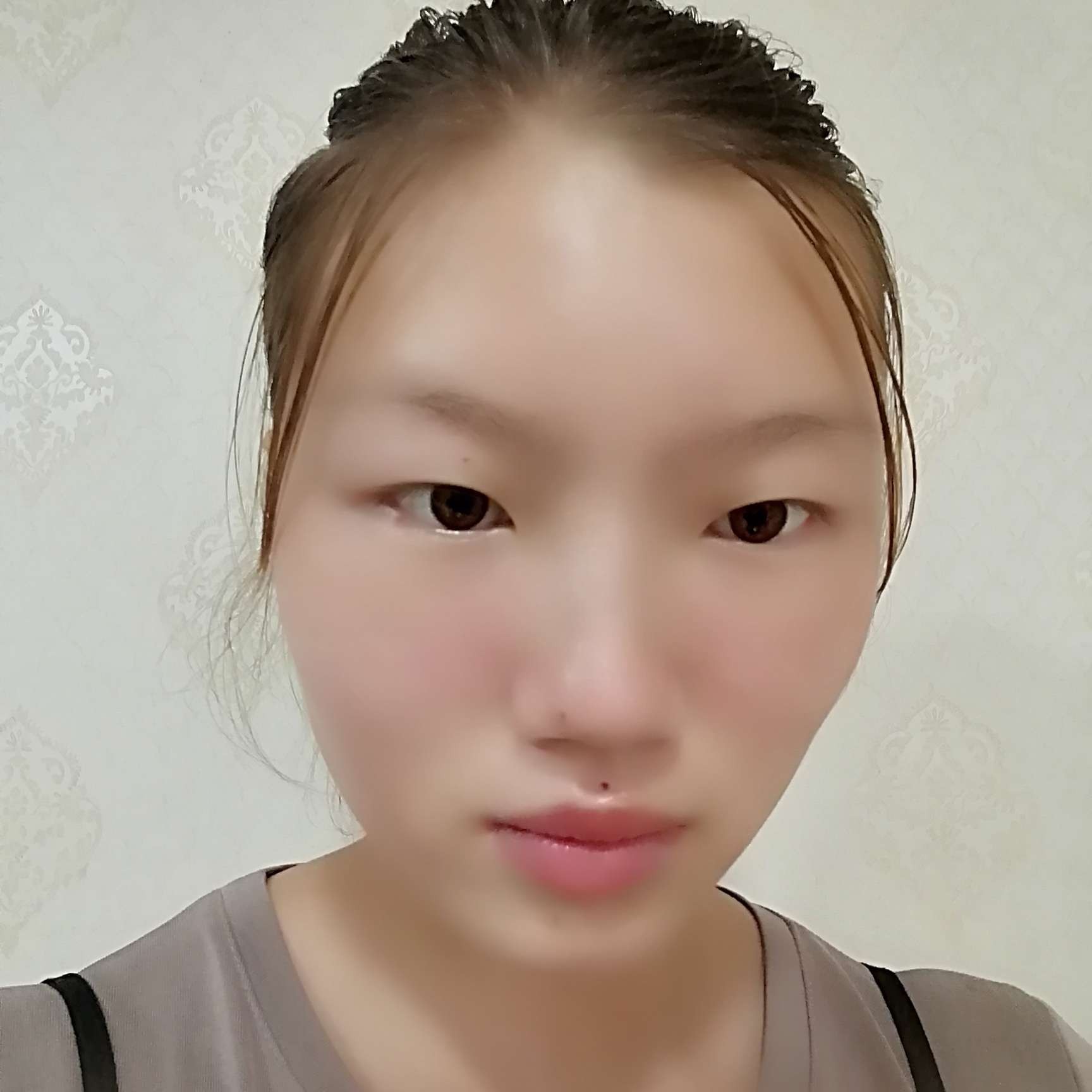 小熊猫用背后的照片