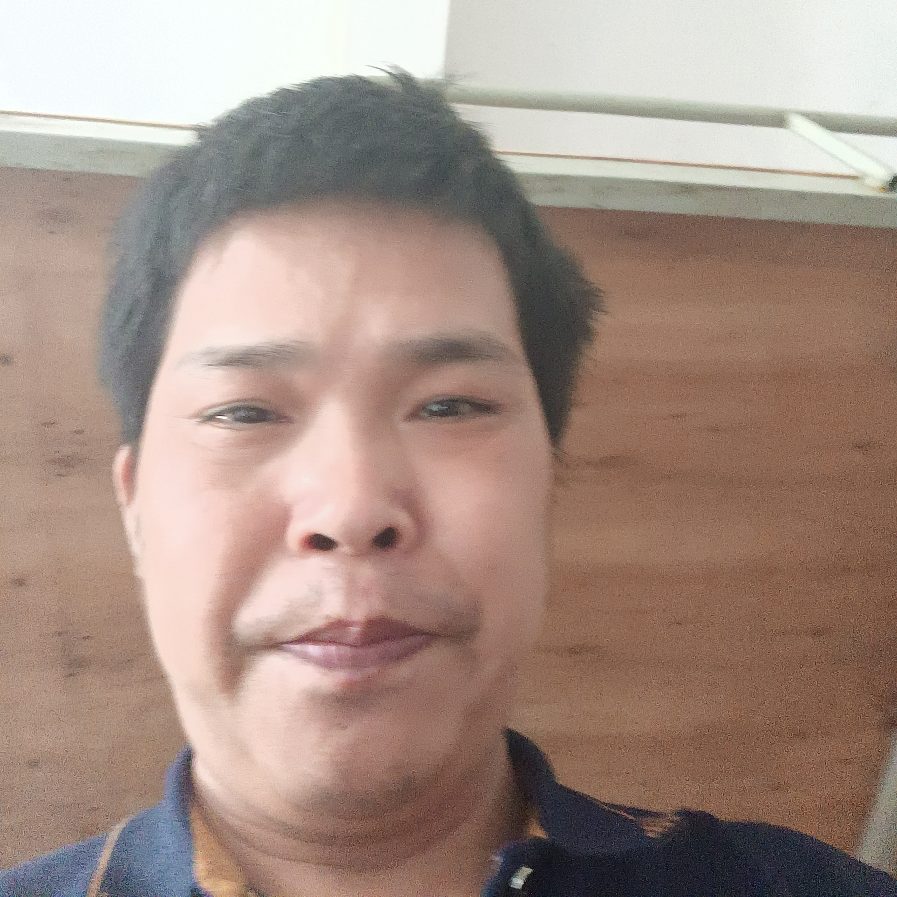 枫叶保卫独特的照片