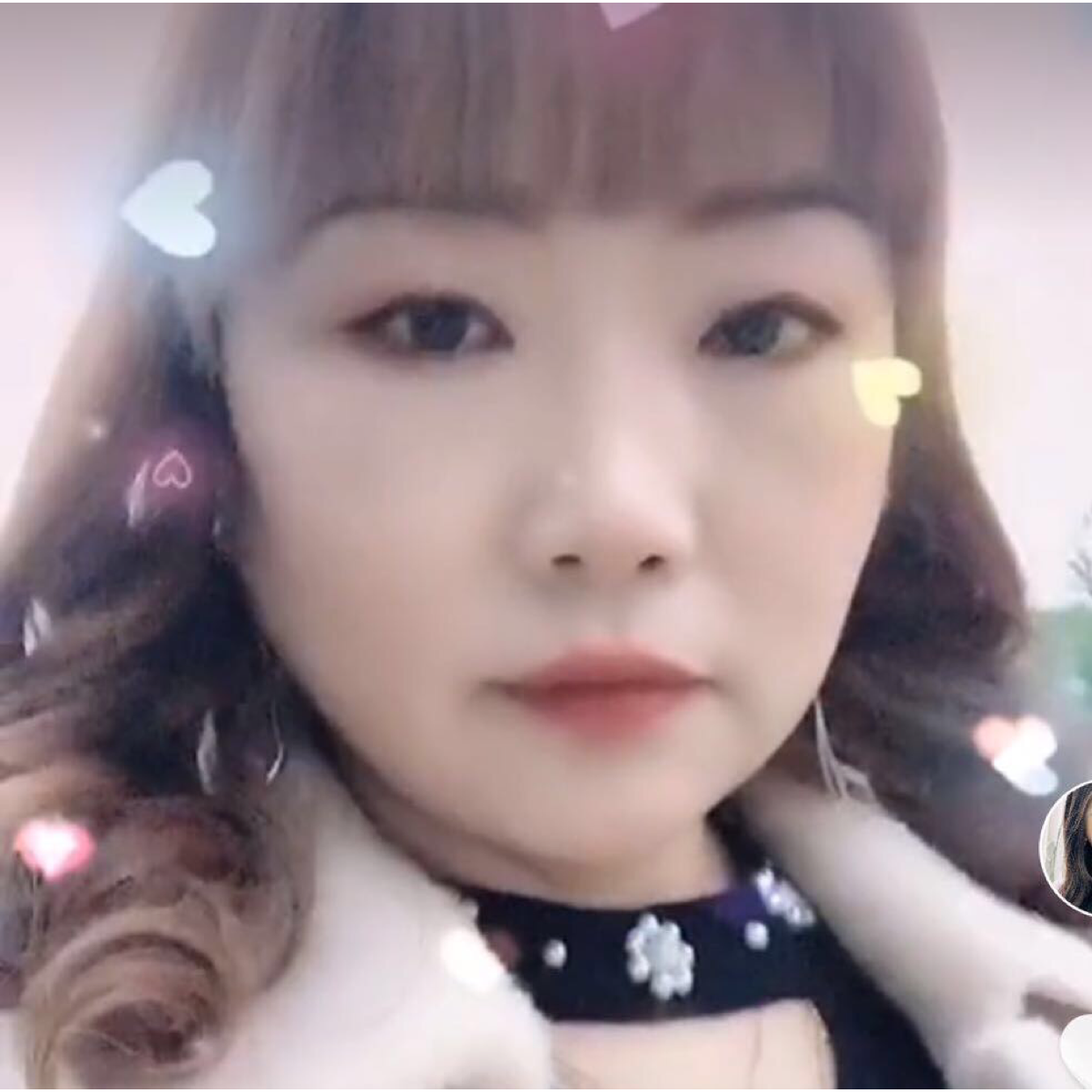 淡惹天涯的照片