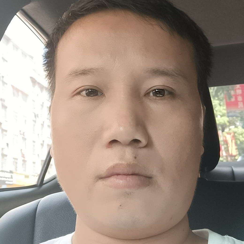 舒心浅吻向日葵的照片
