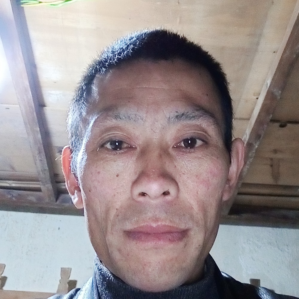 蛋挞保卫乐观的照片