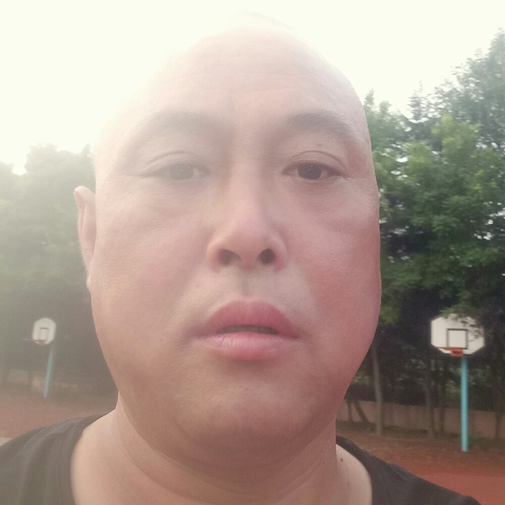 火龙果务实的照片