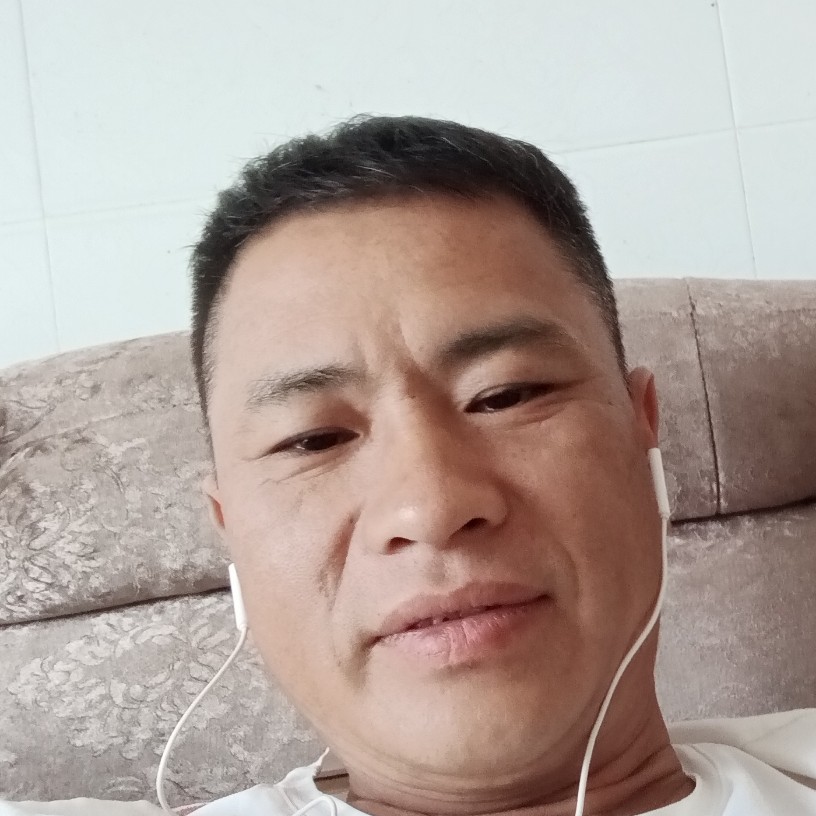 简单的乌龟的照片