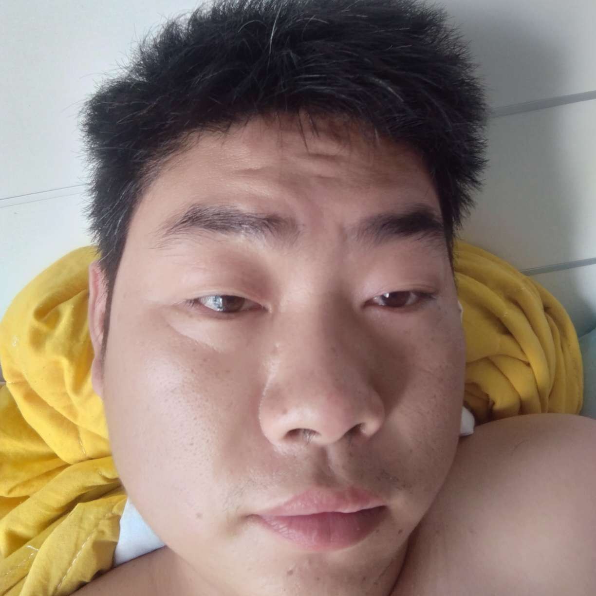 小松鼠妩媚的照片
