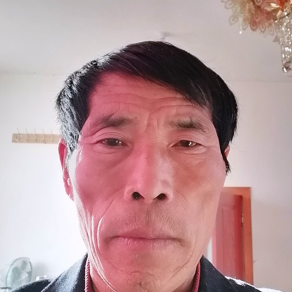感性回首向日葵的照片