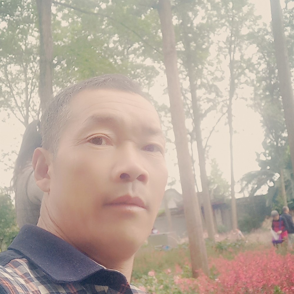 紫萱闻迷茫的照片