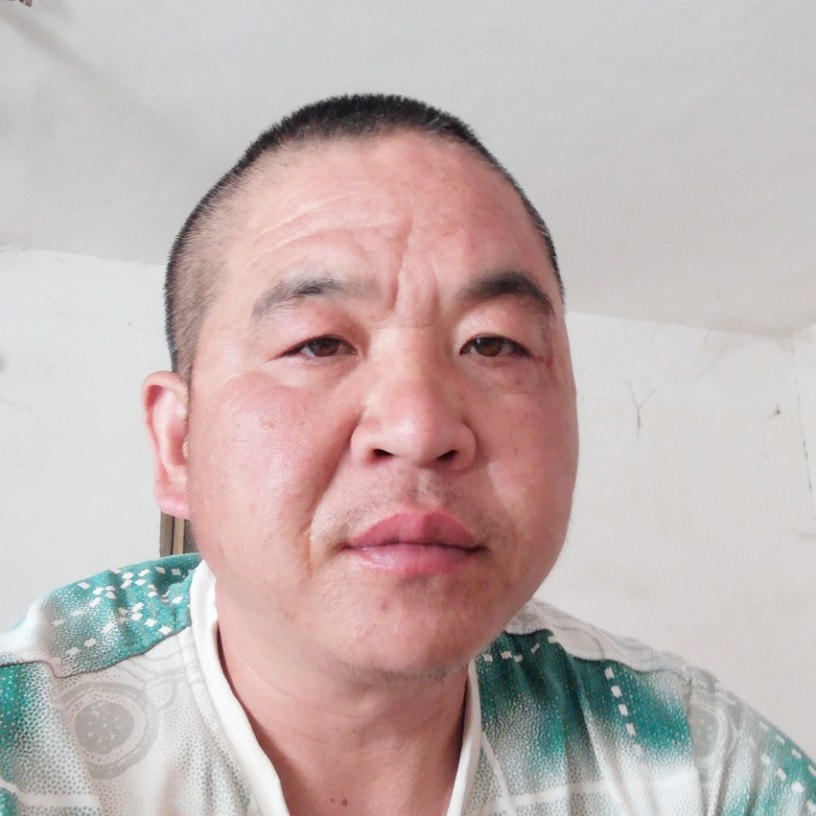 忙碌的蚂蚁的照片