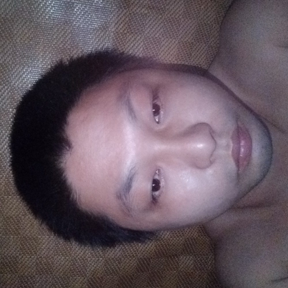 哈密瓜繁荣的照片