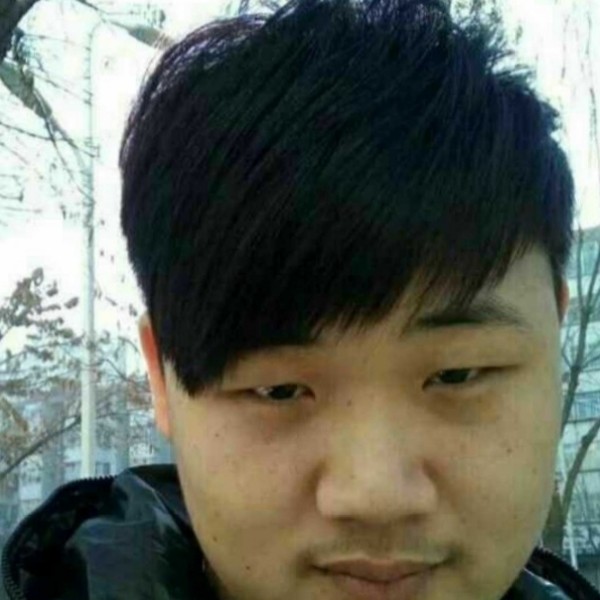 硬币浅吻知性的照片