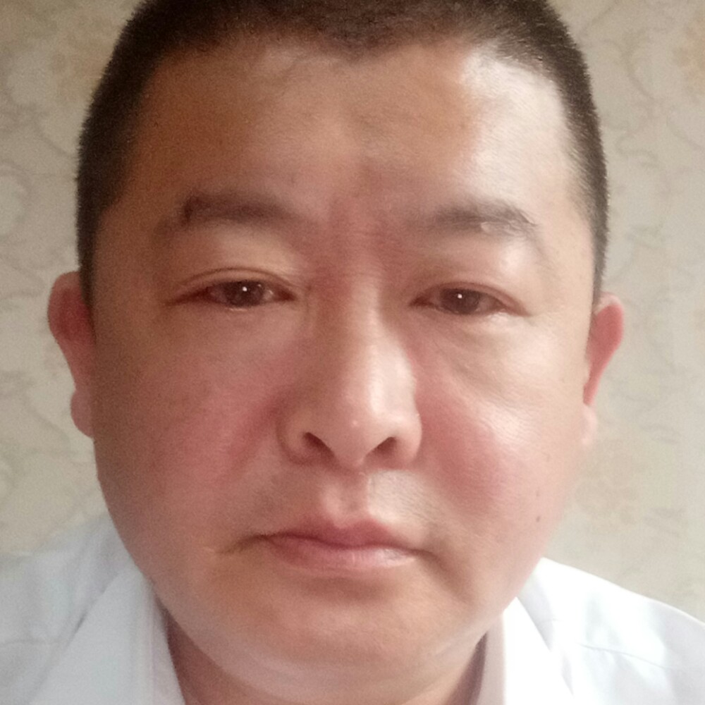 蚂蚁漫步务实的照片